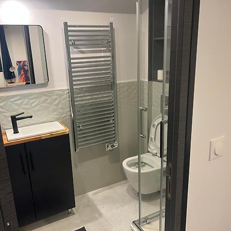 Loft Entier Nancy Centre Et Parking Apartment Exterior photo